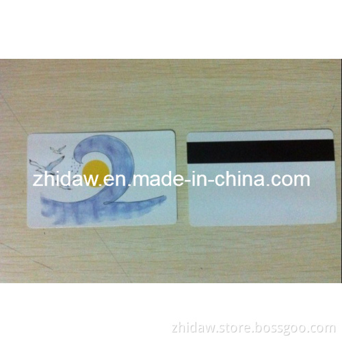 Paper Magnetic Stripe Card